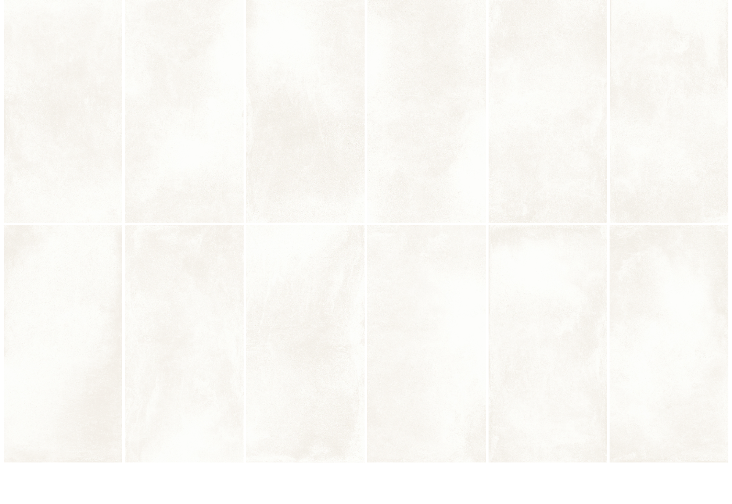 White Alyssum · layout